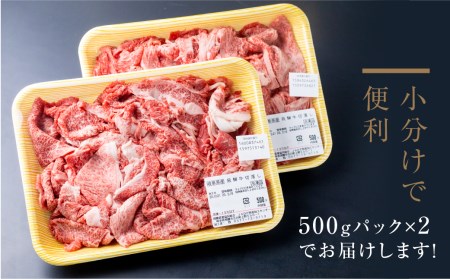 厳選　飛騨牛　切り落とし 切落し A4・A5ランク 1kg[D0078]