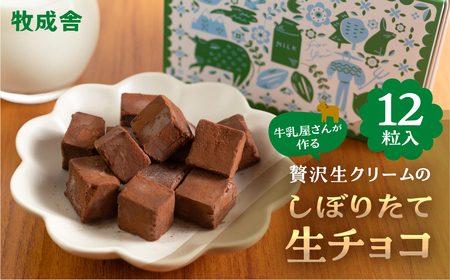生チョコレート  1箱(1箱12粒入り)   生クリーム使用 チョコレート スイーツ 冷凍 洋菓子 ギフト 贈答 贈り物 プレゼント 牧成舎 ホワイトデー[Q2332_u]