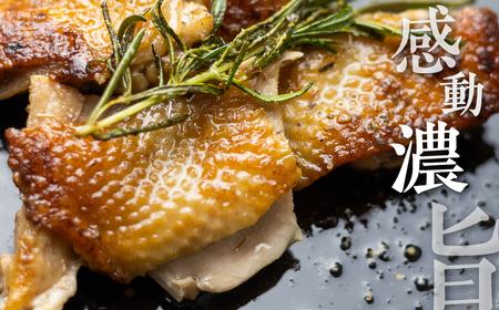 《最短翌日～5営業日以内発送》地鶏 鶏肉 飛騨地鶏 モモ肉 カット済み 計600g 真空パック 小分け 便利 もも肉 モモ 国産 地鶏 国産地鶏 唐揚げ チキンソテー 煮物 チキン南蛮 水炊き [Q2779]