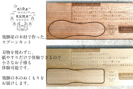 牧成舎 アイスクリーム 4種12カップ& FabCafe Hidaのアイススプーン 手作りキット 2名分[C0066]