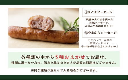 【訳あり】燻製ソーセージ おまかせソーセージ 3袋セット 肉 詰め合わせ おつまみ 山之村牧場 国産 肉 ギフト 冷凍 時間指定可 飛騨市[Q2751]