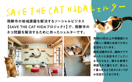 保護猫シェルターサポーター 1年間 権利 SAVE THE CAT HIDA PROJECT ねこ ネコ 猫 支援 保護猫ライフ 観光 旅行 体験[Q2717]