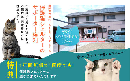 保護猫シェルターサポーター 1年間 権利 SAVE THE CAT HIDA PROJECT ねこ ネコ 猫 支援 保護猫ライフ 観光 旅行 体験[Q2718]