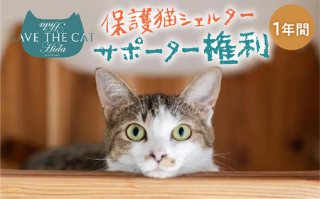保護猫シェルターサポーター 1年間 権利 SAVE THE CAT HIDA PROJECT ねこ ネコ 猫 支援 保護猫ライフ 観光 旅行 体験[Q2719]