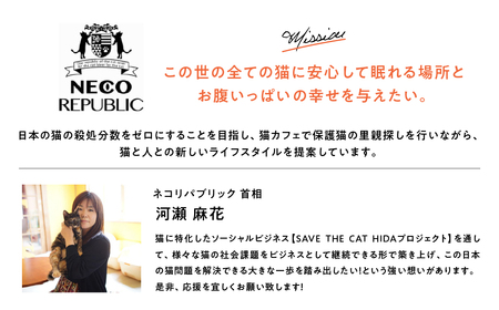保護猫シェルターサポーター 1年間 権利 SAVE THE CAT HIDA PROJECT ねこ ネコ 猫 支援 保護猫ライフ 観光 旅行 体験[Q2719]