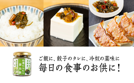 【先行予約】5月下旬～1月中旬発送 行者ニンニクだし醤油漬け 3個 瓶詰 瓶詰め おつまみ おかず ご飯のお供 惣菜 [Q2798]