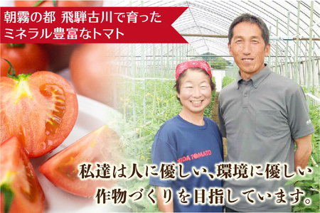 《2026年先行予約》【訳あり】飛騨トマト 約1.8kg