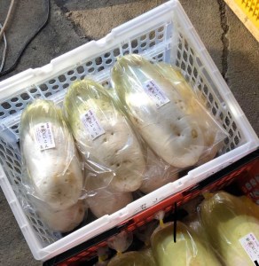 満天☆青空レストラン 2/15放送【1月下旬～3月上旬発送】飛騨 山之村 清水さんちの「寒熟だいこん」完熟大根 約4.5kg 2～6本 野菜 産地直送 ダイコン 鍋 おでん 煮物[A0122wxch] 