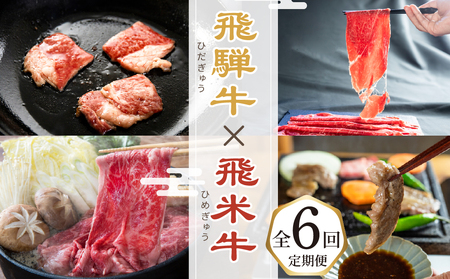 飛騨牛×飛米牛 全6回のブランド牛定期便 焼肉 すき焼き しゃぶしゃぶ 国産 ブランド牛 食べ比べ セット 牛肉 肉 和牛 すきやき お楽しみ 6回 毎月 冷凍でお届け 飛騨市 [Q2856]