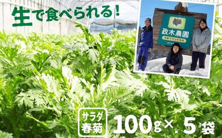 《令和7年産》サラダ春菊 100g × 5袋  計500g　政木農園　無農薬栽培 [Q657rewx_u] syun88 野菜
