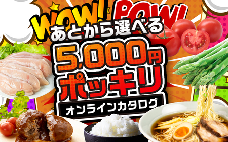 ＼5000円ポッキリ！／ 飛騨市オンラインカタログ 5千円 有効期限なし 後から選べる カタログ 5000円 5千円