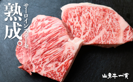 飛騨牛 サーロインステーキ 250g×2枚 500g 飛騨の牧場で育った熟成『山勇牛』牛肉 和牛 サーロイン ブランド牛 和牛 A4 A5 ランクのみ 冷凍 飛騨市