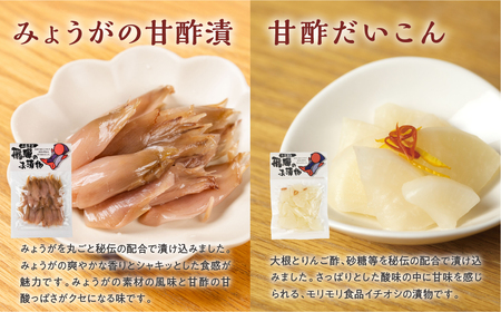 飛騨のお漬物 10点詰め合わせ 赤かぶ セット モリモリ食品 漬物 