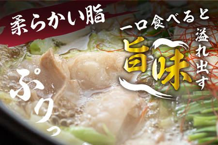 国産 黒毛和牛 もつ鍋セット 醤油味  2-3人前 もつ鍋 飛騨市 [Q2951]