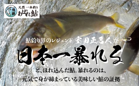 飛騨 天然鮎 特大サイズ 5匹 天然 アユ 鮎 岐阜県 室田名人 宮川下流 E0050 岐阜県飛騨市 ふるさと納税サイト ふるなび