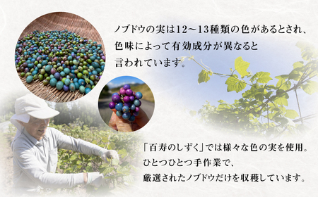ノブドウのリキュール 「百寿のしずく」 500ml 1本 酒 リキュール ノブドウ 野草 のぶどう 野ぶどう 無農薬 化学肥料不使用 ギフト 贈答 箱入り 厳選 飛騨市 和草-nikogusa- ダブルニット