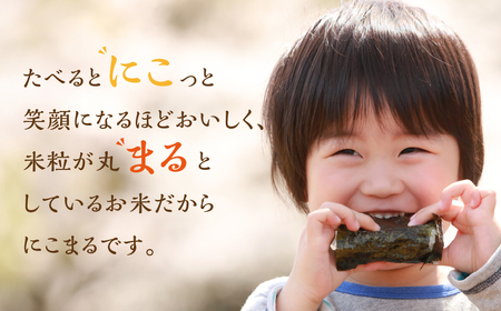 令和7年産 にこまる 10kg (5kg×2袋) 米 みつわ農園 米 10キロ