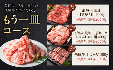 【定期便】贅沢飛騨牛 もう一皿 定期便 3回お届け