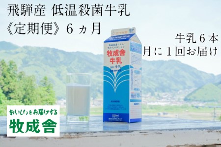 ふるさと納税 《定期便》牧成舎 牛乳＆ヨーグルトよりどりセット 6ヶ月