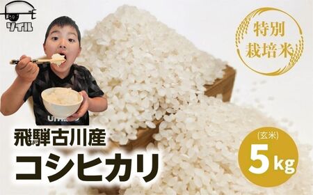 令和8年産コシヒカリ 玄米 5kg 米 こしひかり ソイル