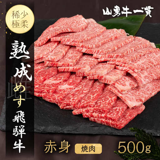 熟成めす 飛騨牛 山勇牛 焼肉 赤身 500g 飛騨牛 焼肉 赤身