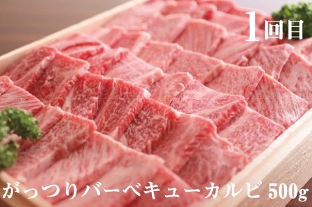 飛騨牛"極" 4か月 定期便 焼肉・しゃぶしゃぶ・ステーキ・すき焼き 堪能コース 飛騨牛 肉 和牛[Q107]