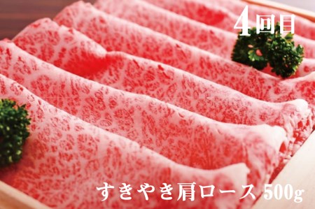 飛騨牛"極" 4か月 定期便 焼肉・しゃぶしゃぶ・ステーキ・すき焼き 堪能コース 飛騨牛 肉 和牛[Q107]