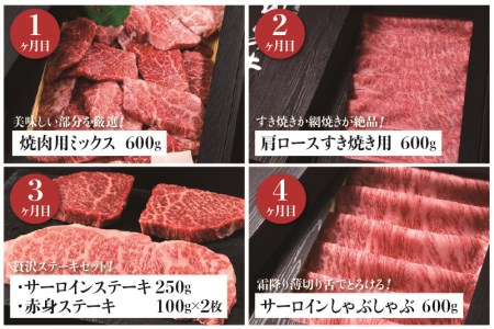 飛騨牛 山勇牛 定期便 4回4か月 焼肉 ステーキ すき焼き しゃぶしゃぶ サーロイン 赤身ステーキ など[Q124]