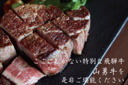 飛騨牛 山勇牛 定期便 4回4か月 焼肉 ステーキ すき焼き しゃぶしゃぶ サーロイン 赤身ステーキ など[Q124]