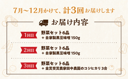 《先行受付 令和7年産》無農薬栽培 受賞農家 野菜セット 6品 3回お届け 定期便 お野菜のレシピ付き  [Q215re] 