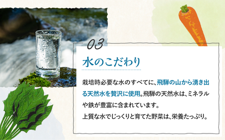 《先行受付 令和7年産》無農薬栽培 受賞農家 野菜セット 6品 3回お届け 定期便 お野菜のレシピ付き  [Q215re] 