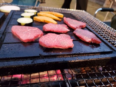 飛騨溶岩プレート 美味焼【囲】-kakomi-お肉やお野菜が美味しく焼ける！BBQ専用 焼肉 飛騨産 プレート [Q1846]