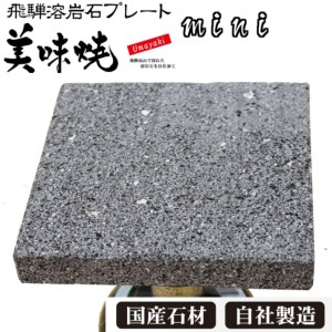 飛騨 溶岩プレート「美味焼」【mini】 焼肉 飛騨産 プレート BBQ [Q218]