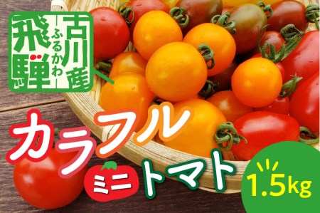 【先行予約】令和7年産《期間限定・数量限定》飛騨産 トマト ミニトマト カラフルキュートなミニトマトの詰め合わせたっぷり1.5kg！[Q216_25] syun106