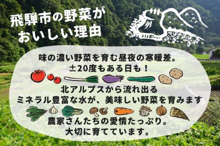 【先行予約】令和7年産《期間限定・数量限定》飛騨産 トマト ミニトマト カラフルキュートなミニトマトの詰め合わせたっぷり1.5kg！[Q216_25] syun106