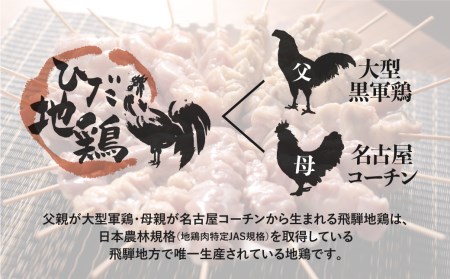 飛騨地鶏 焼き鳥 10本セットB 部位5種類 もも 皮 ふりそで なんこつ はつ 希少部位 国産鶏肉 食べ比べ[Q295re]