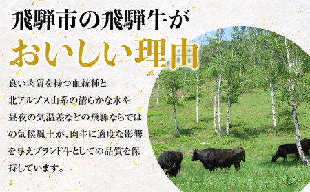 飛騨市産 5等級飛騨牛 しゃぶしゃぶ用 500g ギフト お中元 お歳暮[Q355]