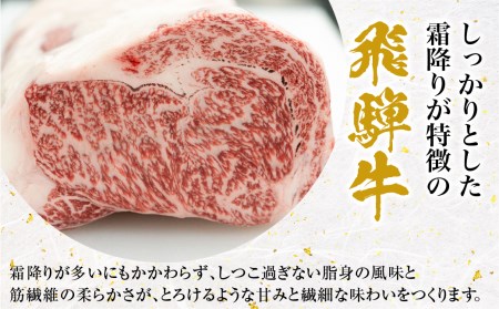 飛騨市産 5等級飛騨牛 希少部位ミニステーキ用 500g  ギフト お中元 お歳暮[Q357]