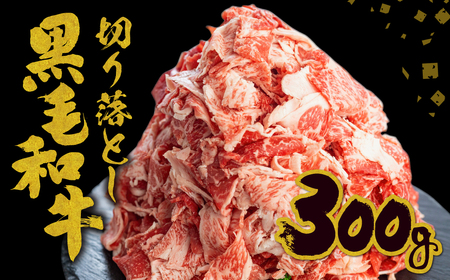 年内発送《簡易包装》【訳あり】うまい赤身にこだわった 牛飼いの和牛肉 切り落とし 大盛 スライス 飛米牛 300g 牛肉 肉 和牛 黒毛和牛 国産 牛丼 焼肉 すき焼き 訳あり [Q360_unn] 年内配送 年内お届け 12月 飛騨市