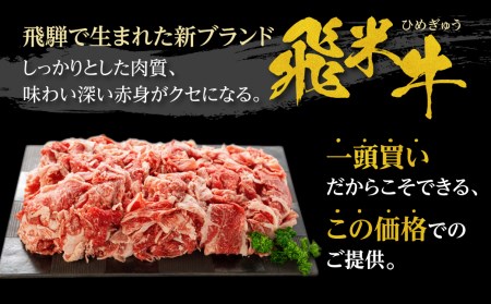 年内発送《簡易包装》【訳あり】うまい赤身にこだわった 牛飼いの和牛肉 切り落とし 大盛 スライス 飛米牛 300g 牛肉 肉 和牛 黒毛和牛 国産 牛丼 焼肉 すき焼き 訳あり [Q360_unn] 年内配送 年内お届け 12月 飛騨市