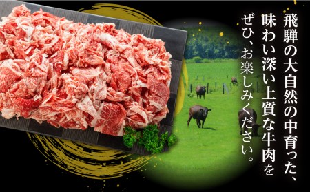 年内発送《簡易包装》【訳あり】うまい赤身にこだわった 牛飼いの和牛肉 切り落とし 大盛 スライス 飛米牛 300g 牛肉 肉 和牛 黒毛和牛 国産 牛丼 焼肉 すき焼き 訳あり [Q360_unn] 年内配送 年内お届け 12月 飛騨市