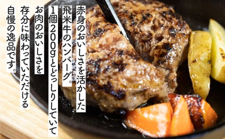 《簡易包装》うまい赤身にこだわった 牛飼いの和牛肉 ハンバーグ 200g×4個  飛米牛 生ハンバーグ 和牛100%[Q2450]