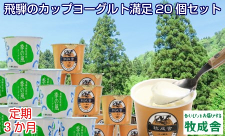 定期便 牧成舎 ヨーグルト個セット 3ヶ月定期便 生クリームヨーグルト 季の風 2種類 Q393 岐阜県飛騨市 ふるさと納税サイト ふるなび