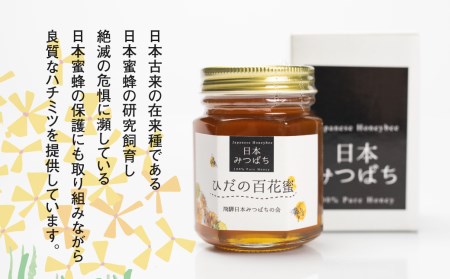 飛騨日本みつばちの会 ひだの百花蜜 150g 1本 はちみつ 蜂蜜 ハチミツ