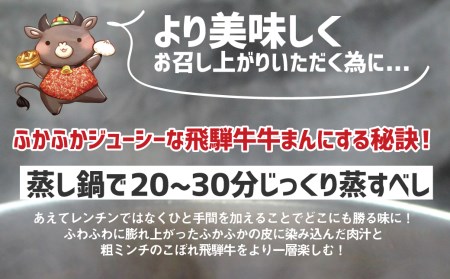 飛騨牛ぎゅうぎゅうまん 肉まん 飛騨牛 極 5個セット のし対応可[Q375]