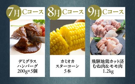 【定期便】どやな飛騨市 まるごと 定期便 毎月 お届け 12回 [Q3015ch_C]