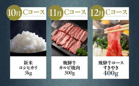 【定期便】どやな飛騨市 まるごと 定期便 毎月 お届け 12回 [Q3015ch_C]