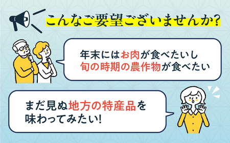 【定期便】どやな飛騨市 まるごと定期便 お届け 6回 定期便 偶数月 [Q3015_B]