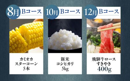 【定期便】どやな飛騨市 まるごと定期便 お届け 6回 定期便 偶数月 [Q3015_B]