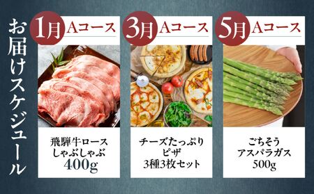 どやな まるごと定期便 Aコース 6回 飛騨市 牛肉 野菜 定期便